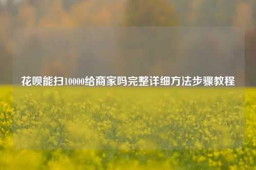 花呗能扫10000给商家吗完整详细方法步骤教程