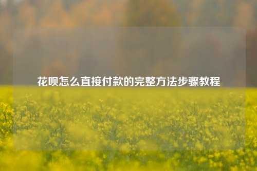 花呗怎么直接付款的完整方法步骤教程