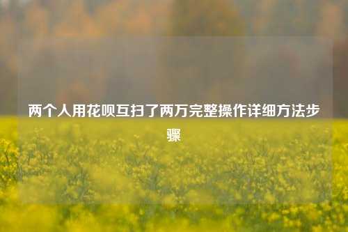 两个人用花呗互扫了两万完整操作详细方法步骤