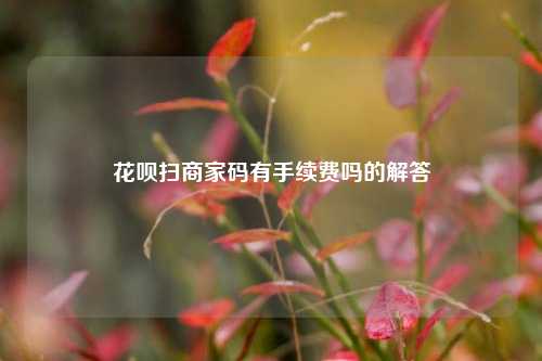 花呗扫商家码有手续费吗的解答