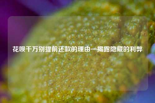 花呗千万别提前还款的理由—揭露隐藏的利弊