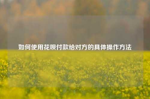 如何使用花呗付款给对方的具体操作方法