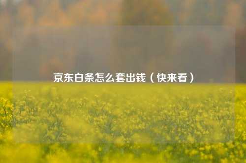 京东白条怎么套出钱（快来看）