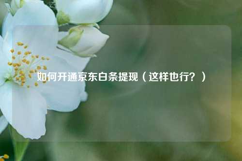 如何开通京东白条提线（这样也行？）