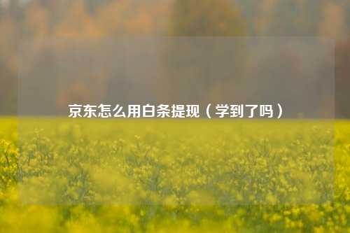 京东怎么用白条提线（学到了吗）