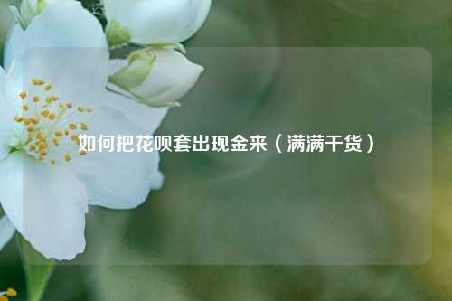 如何把花呗套出现金来（满满干货）