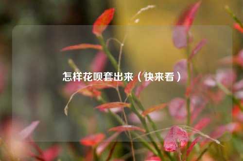 怎样花呗套出来（快来看）