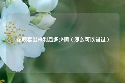 花呗套出来利息多少啊（怎么可以错过）