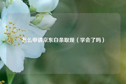 怎么申请京东白条取线（学会了吗）