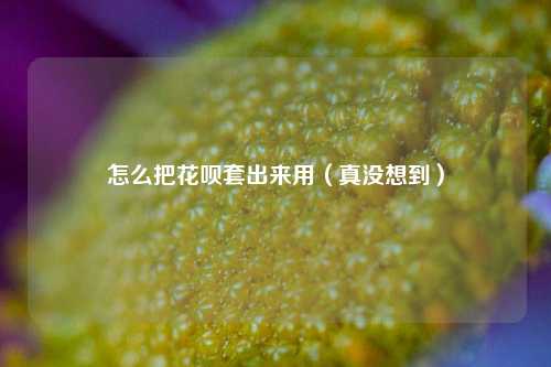 怎么把花呗套出来用（真没想到）