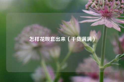 怎样花呗套出来（干货满满）