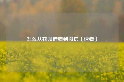 怎么从花呗借钱到微信（速看）