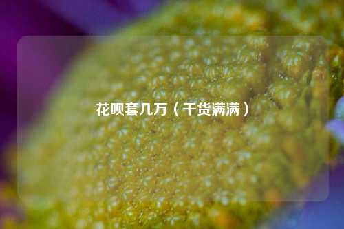 花呗套几万（干货满满）