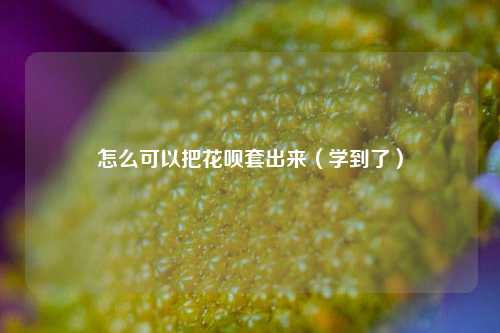 怎么可以把花呗套出来（学到了）