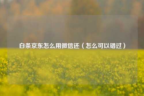 白条京东怎么用微信还（怎么可以错过）