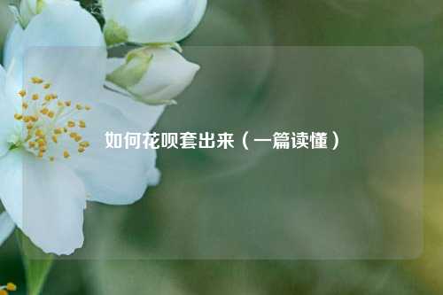 如何花呗套出来（一篇读懂）