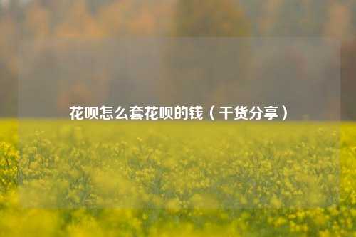 花呗怎么套花呗的钱（干货分享）