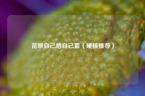 花呗自己给自己套（硬核推荐）