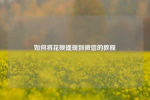 如何将花呗提线到微信的教程