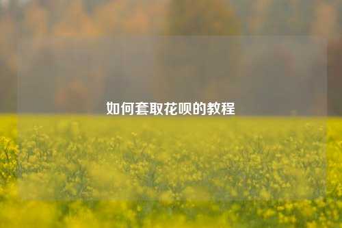 如何套取花呗的教程