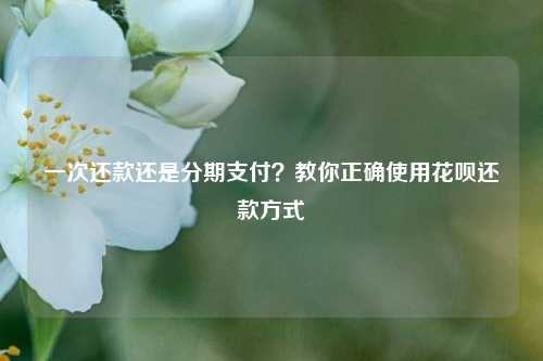 一次还款还是分期支付？教你正确使用花呗还款方式