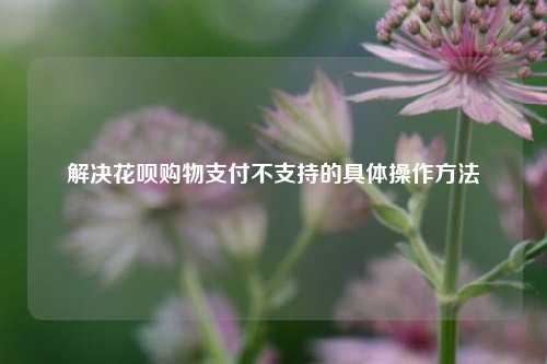 解决花呗购物支付不支持的具体操作方法