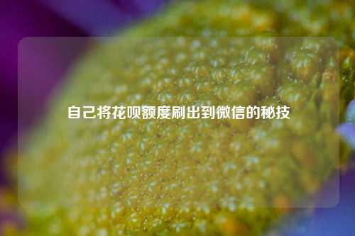 自己将花呗额度刷出到微信的秘技