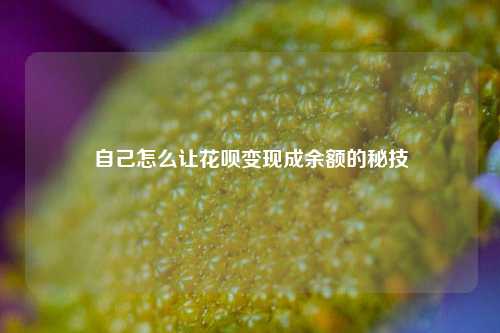 自己怎么让花呗变现成余额的秘技