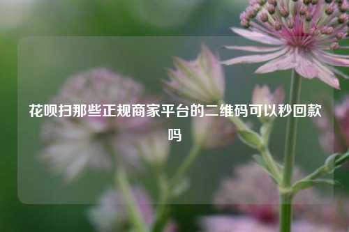 花呗扫那些正规商家平台的二维码可以秒回款吗