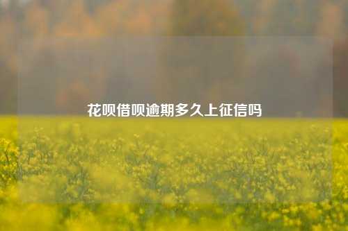 花呗借呗逾期多久上征信吗