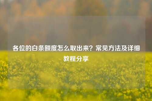 各位的白条额度怎么取出来？常见方法及详细教程分享